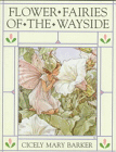 Flower Fairies of the Wayside